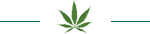 Cbd production