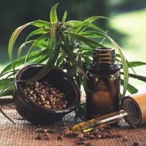Aceite de CBD para el bienestar y la relajación