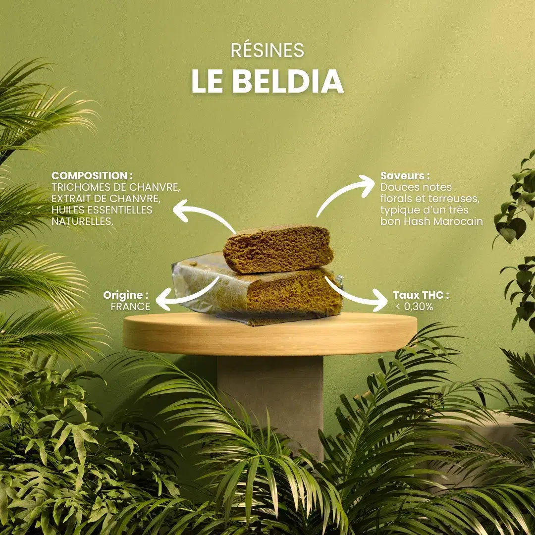 Resina CBN Le Beldia