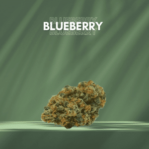 Blueberry