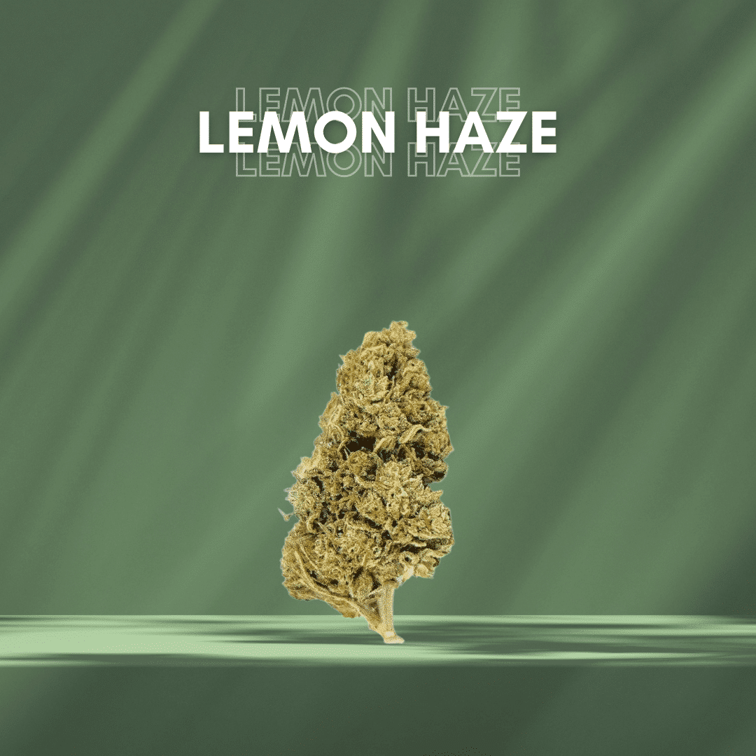 Cbd lemon haze